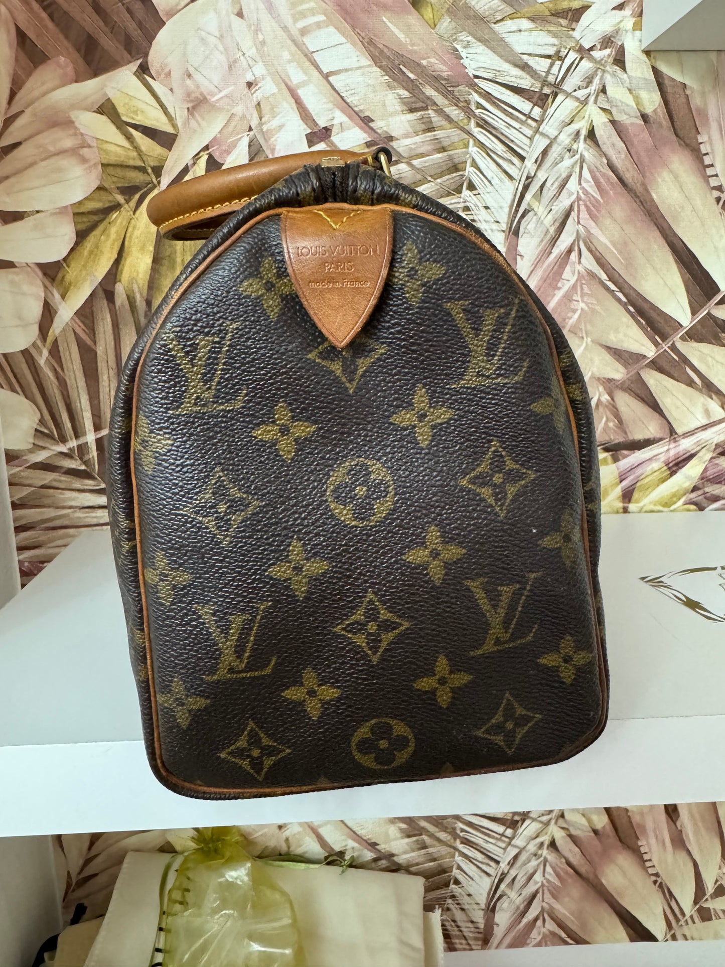 Speedy Lv 25