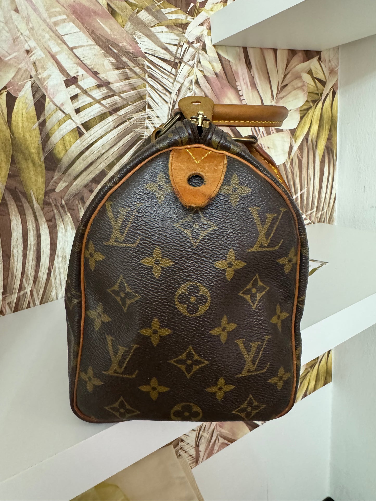 Speedy Lv 25