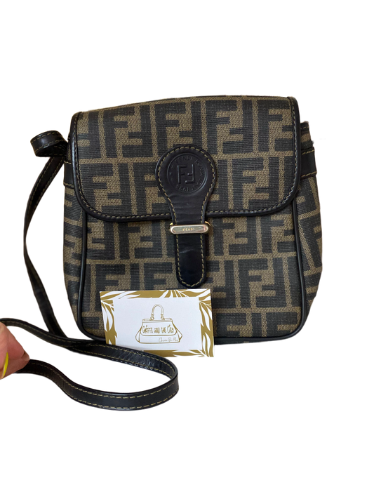 Processed image for Fendi zucca