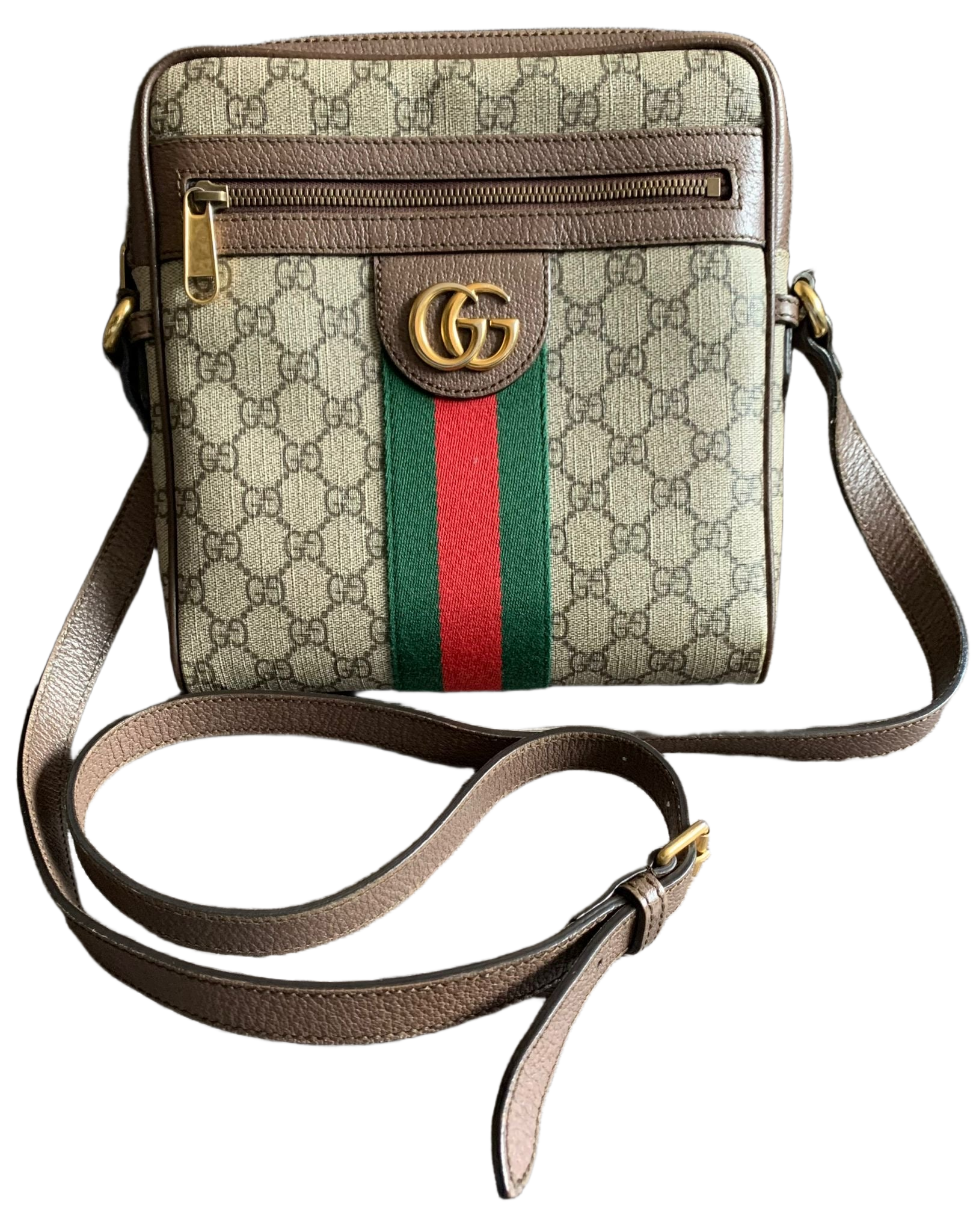 Processed image for Gucci ophidia