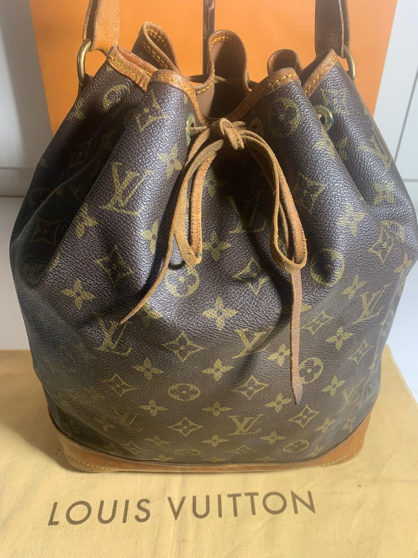 Lv noè GM