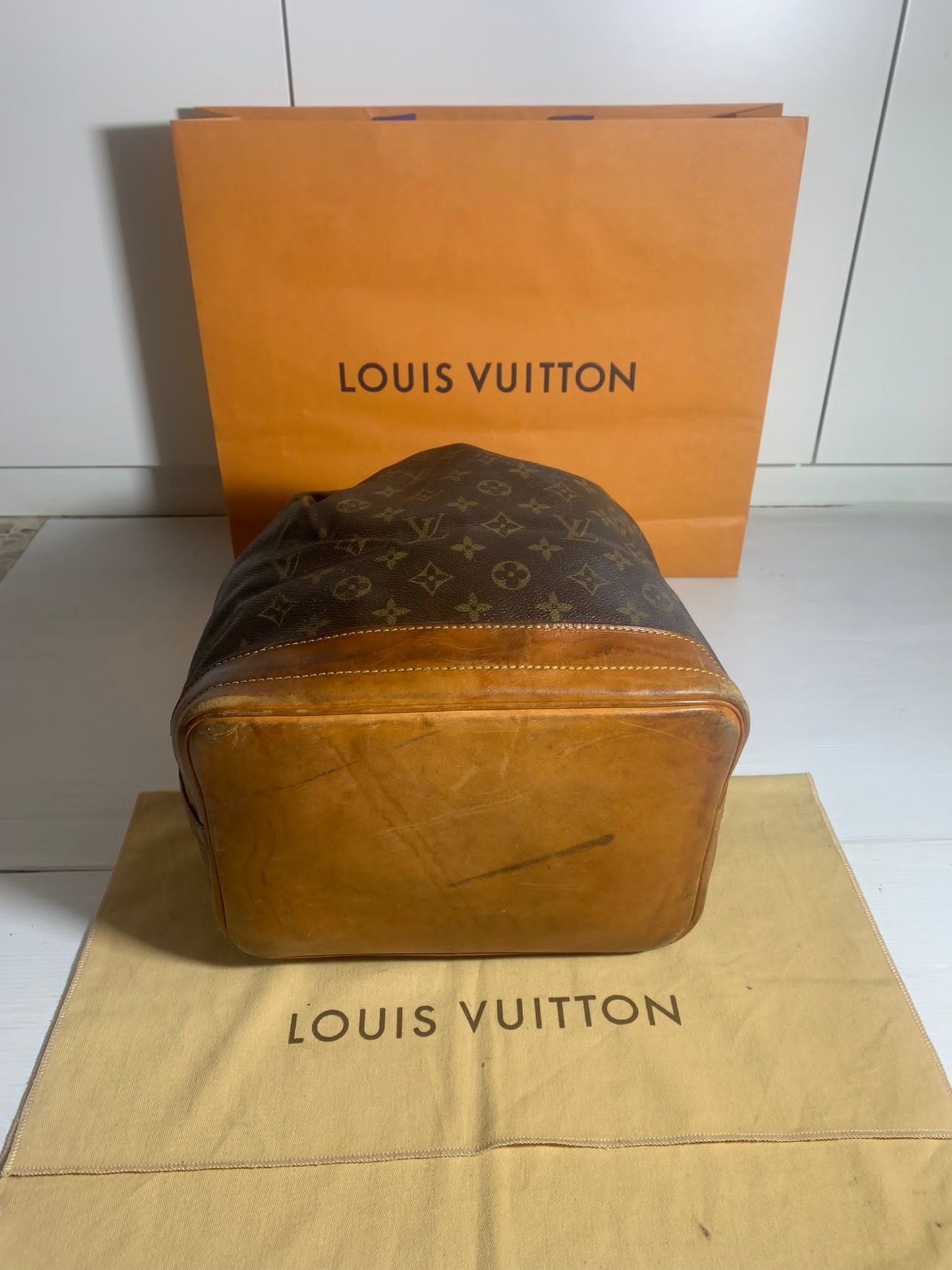 Lv noè GM