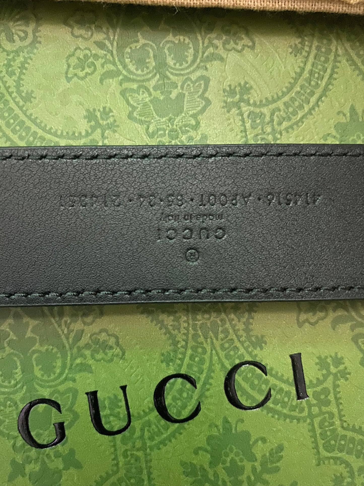 Cintura Gucci