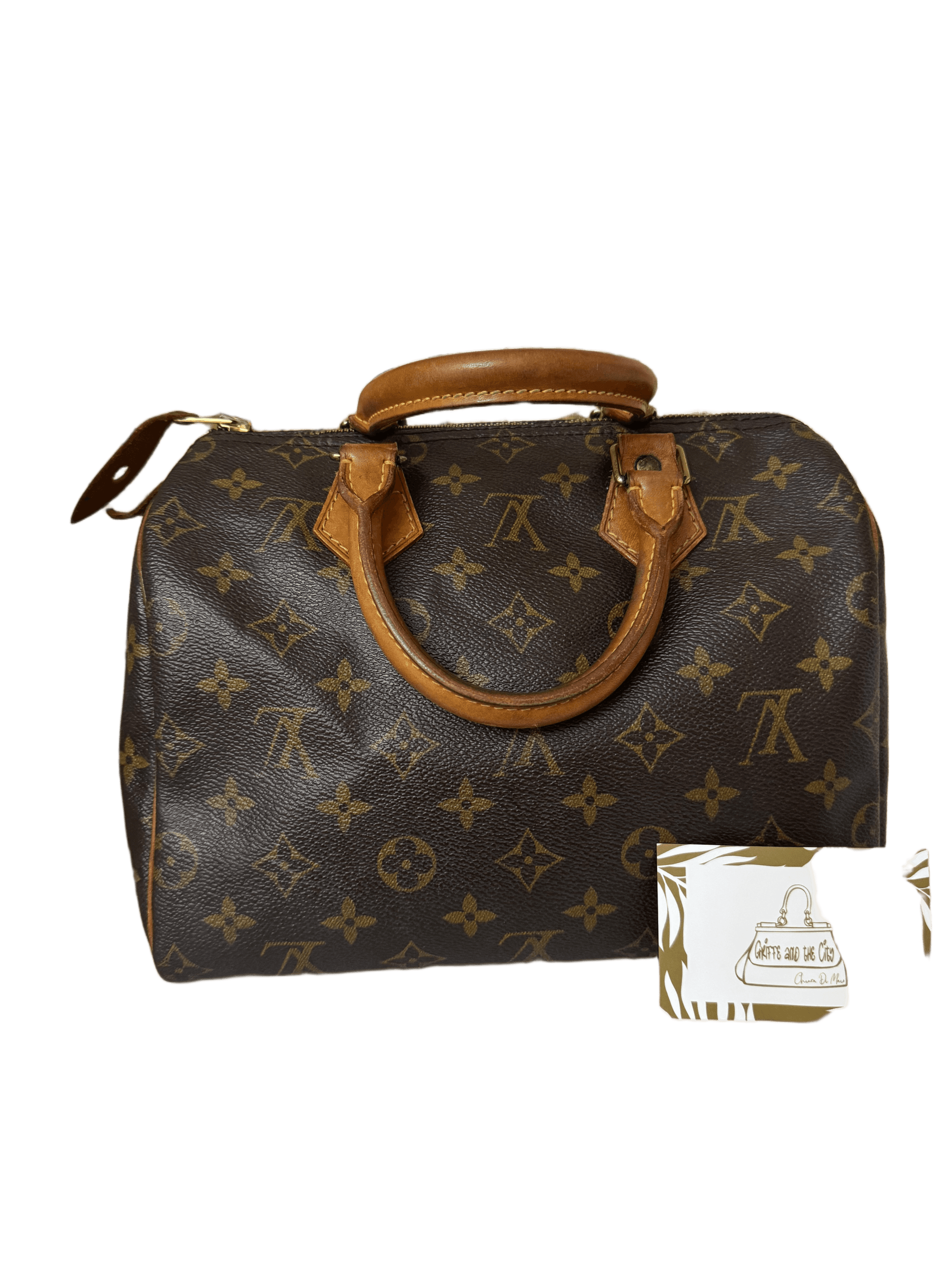 Processed image for Speedy Lv 25